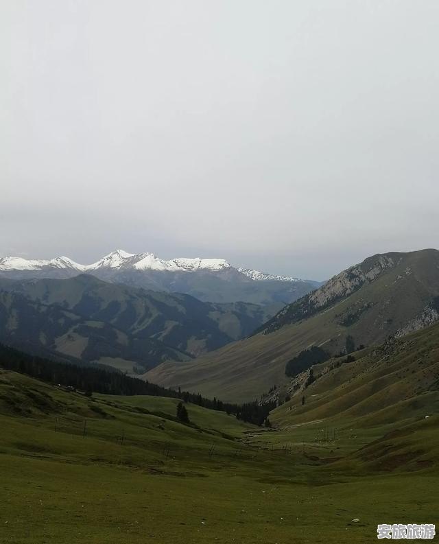 在外地呆半个月，住哪比较合适？总觉得宾馆不大合算 - 安旅旅游