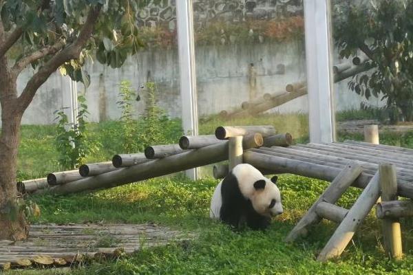 11月西安旅游必去景点推荐