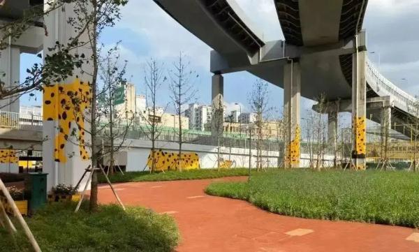 上海女子半马今天开跑，这份“绿色半马”攻略可收藏→