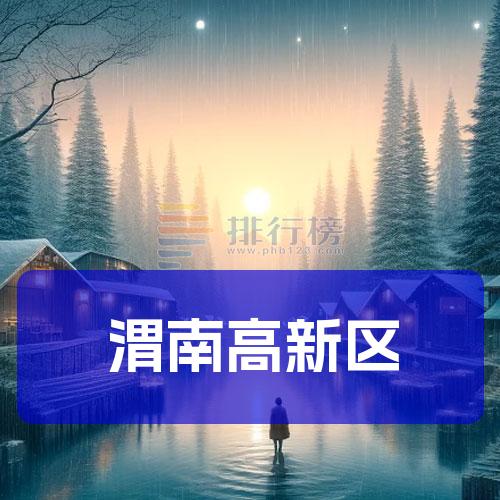 渭南高新区