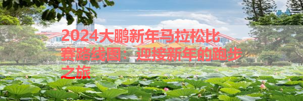 IMG_6225.png