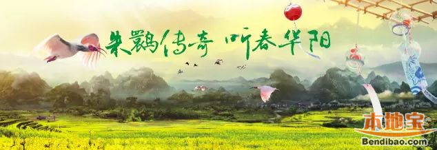 西安到汉中华阳古镇旅游攻略(路线 住宿 美食)