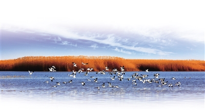 额济纳旗居延海景区。