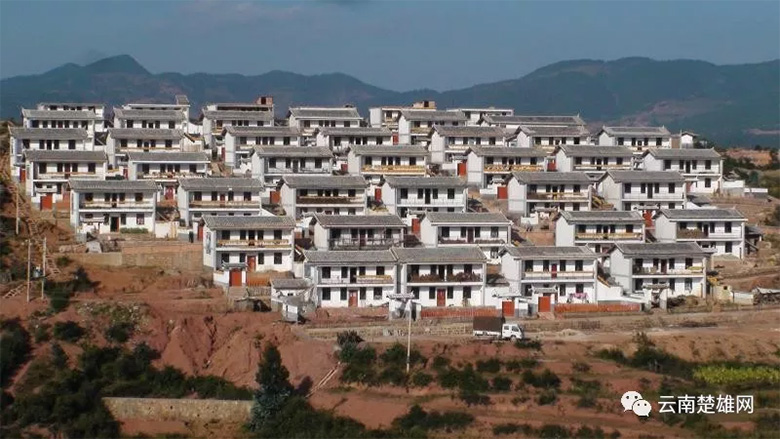 p11.jpg