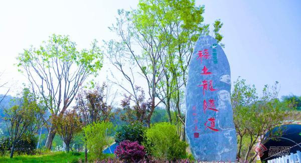 楚姚高速：自然生态长廊 生物多样性科普展示区