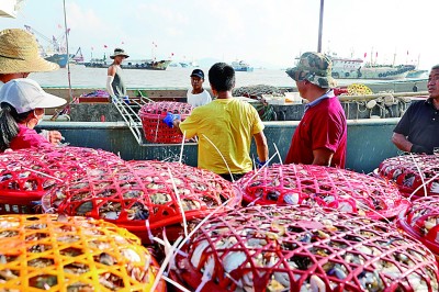 遇见一抹深蓝——走进舟山体验海洋文化