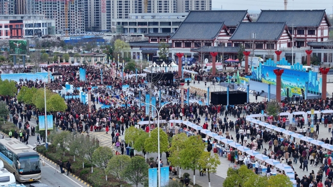 2024最美油菜花海汉中旅游文化节启动 附15条精品观花线路