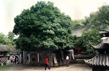 汉桂