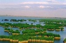 宁夏回族自治区