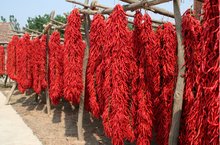 岐山辣椒