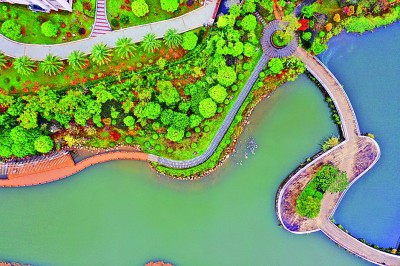 “家门口的公园”,盛满生活故事