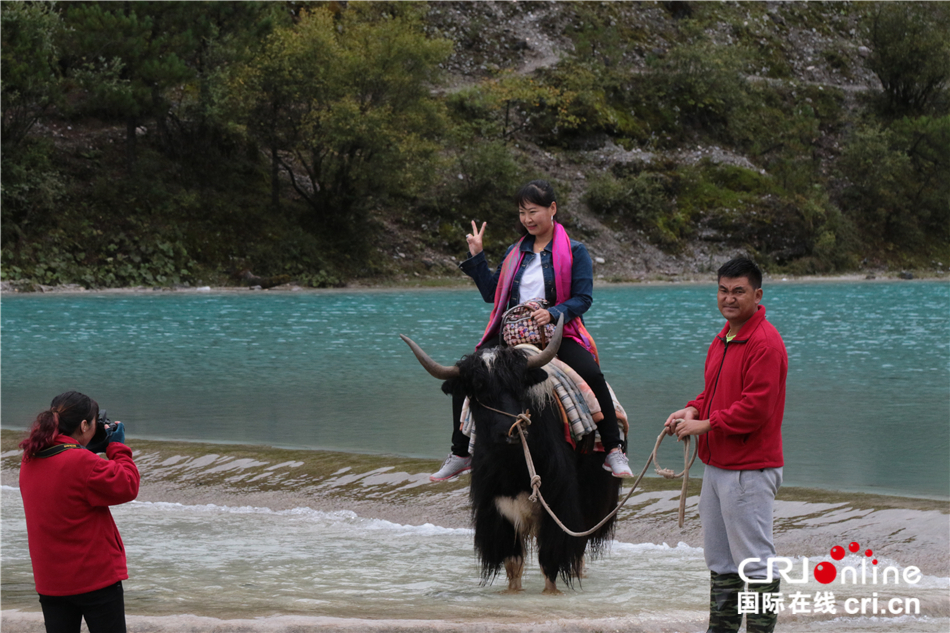 图片默认标题_fororder_--172.100.100.3-temp-9500041-1-9500041_1_1_f1dca7f1-6e2d-427c-b416-f594471d12cb.JPG