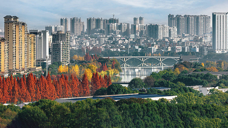 五彩的冬季图片下载