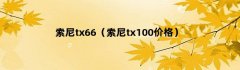 索尼tx66（索尼tx100价格）