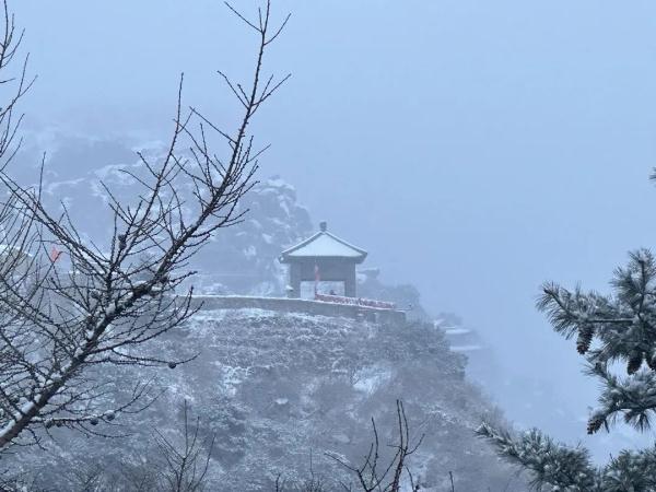 大雪到货！山东7市已现中到大雪局部暴雪 部分地区将达暴雪量级