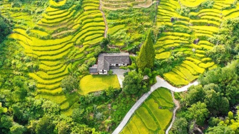 湖洋梯田。单位供图