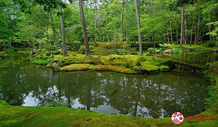 京都景点推荐西芳寺照片