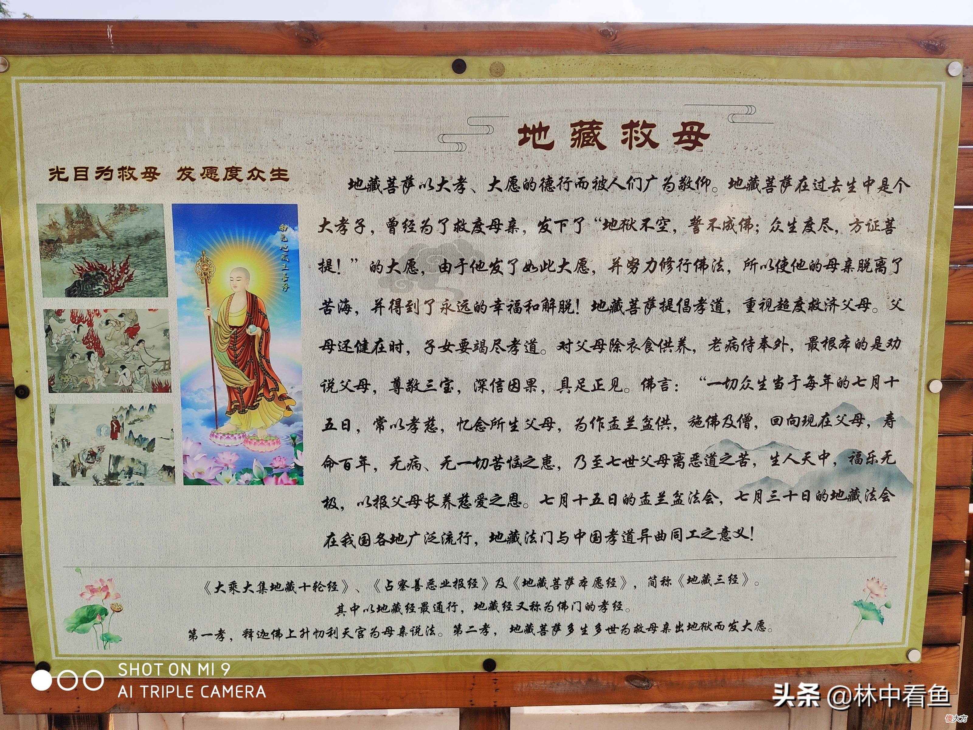 九华山在哪个省哪个县 九华山在哪个地方哪个省