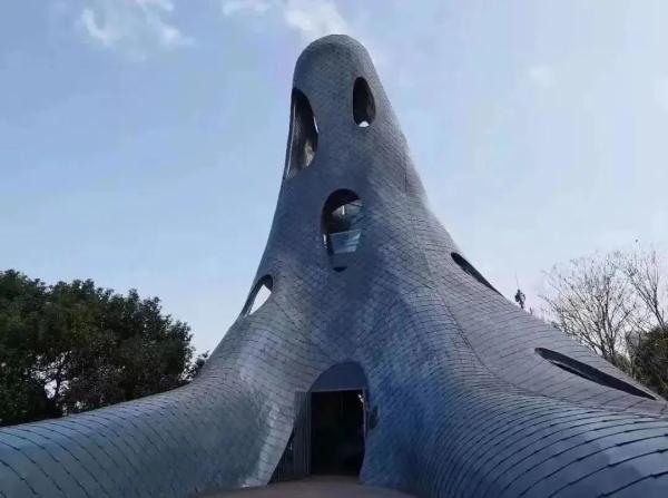 上海女子半马今天开跑，这份“绿色半马”攻略可收藏→