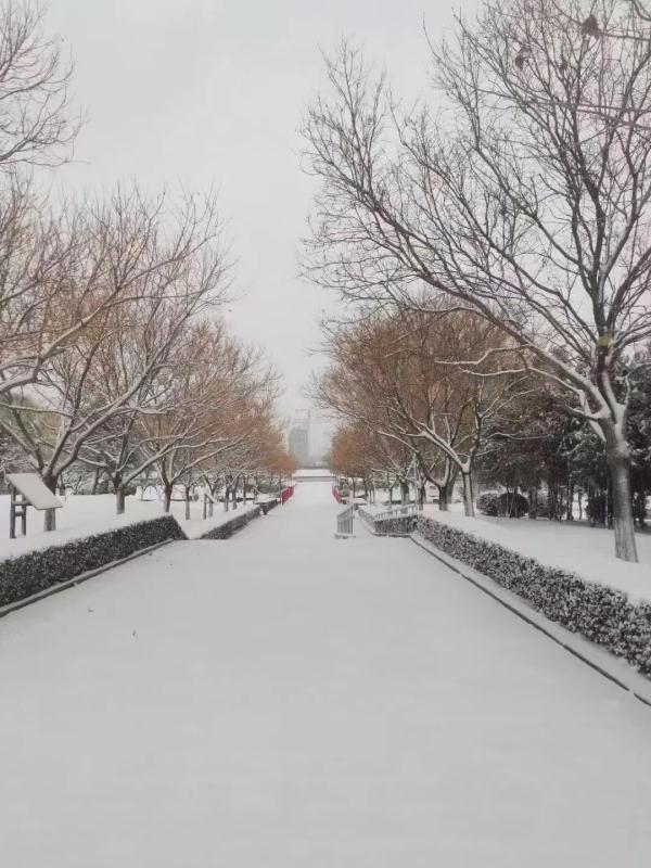 大雪到货！山东7市已现中到大雪局部暴雪 部分地区将达暴雪量级