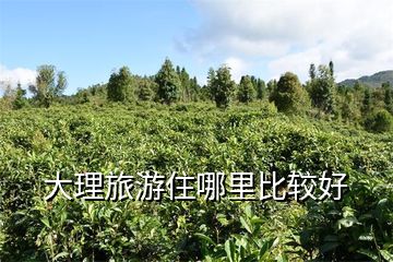 大理旅游住哪里比较好