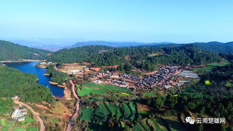 p10.jpg