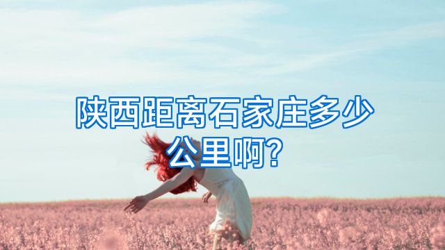 陕西距离石家庄多少公里啊?