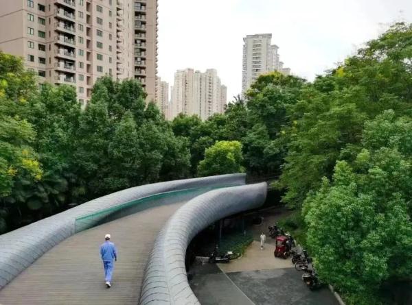 上海女子半马今天开跑，这份“绿色半马”攻略可收藏→