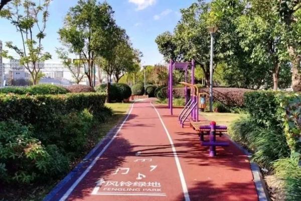 上海女子半马今天开跑，这份“绿色半马”攻略可收藏→