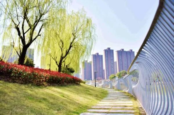 上海女子半马今天开跑，这份“绿色半马”攻略可收藏→
