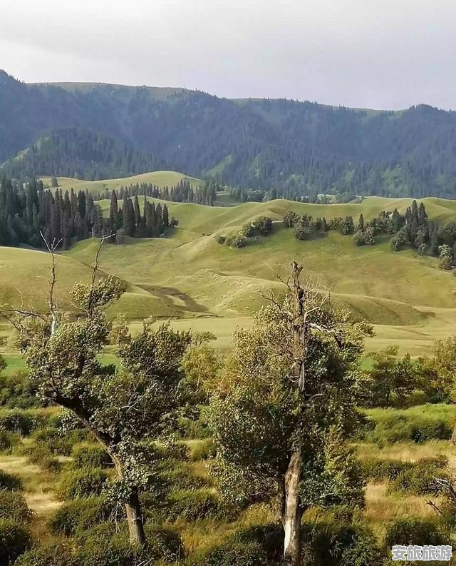 在外地呆半个月，住哪比较合适？总觉得宾馆不大合算 - 安旅旅游