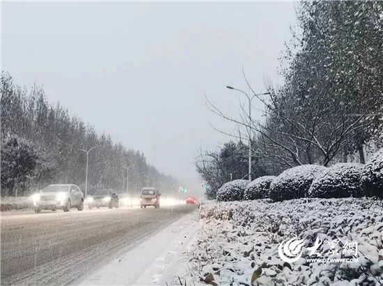 大雪到货！山东7市已现中到大雪局部暴雪 部分地区将达暴雪量级