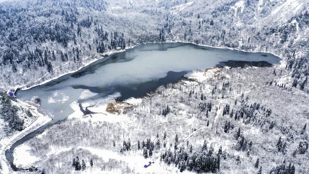 （转载）成都是如何打造绿水青山的？