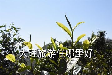 大理旅游住哪里好