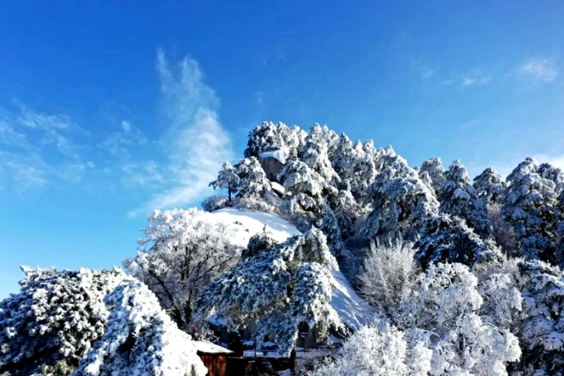 来华山，赴一场冬日童话 。