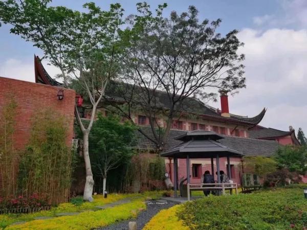 上海女子半马今天开跑，这份“绿色半马”攻略可收藏→
