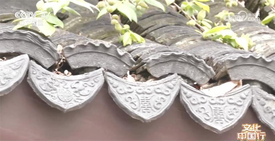 文化中国行｜苏州古城“细胞级”保护 让古建老宅“活”起来