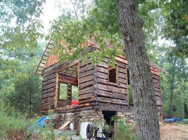 50年破木屋变身梦幻林间别墅