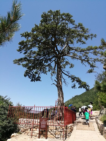 "恒山是五岳中的北岳是道教圣地，不愿爬山的也可坐索道，其实索道根本没有必要。山顶的景色还是要欣赏的_恒山"的评论图片