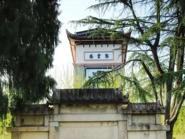 上海女子半马今天开跑，这份“绿色半马”攻略可收藏→