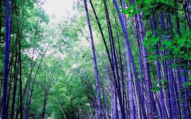 普陀山在哪个省哪个市（普陀山旅游介绍）-梦路生活号