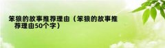 笨狼的故事推荐理由（笨狼的故事推荐理由50个字）