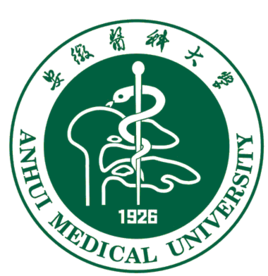 安徽医科大学地址在哪里，哪个城市，哪个区？