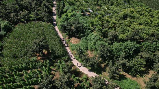 游客体验精品田园路线。顺平县委宣传部供图