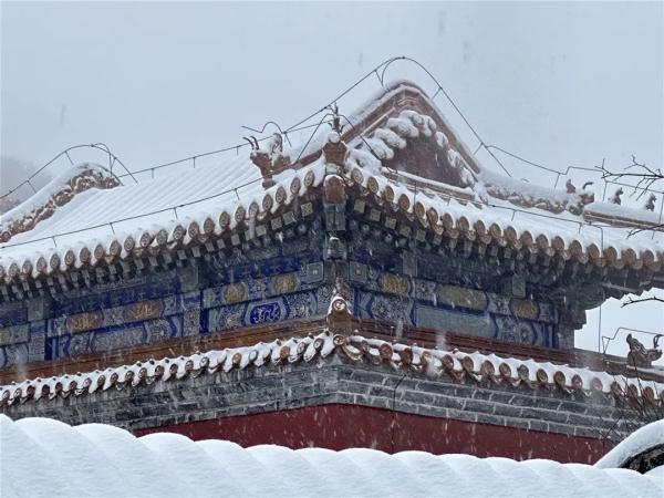 大雪到货！山东7市已现中到大雪局部暴雪 部分地区将达暴雪量级