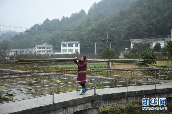 （新华全媒头条·井冈山脱贫·图文互动）（4）井冈山脱贫礼赞　