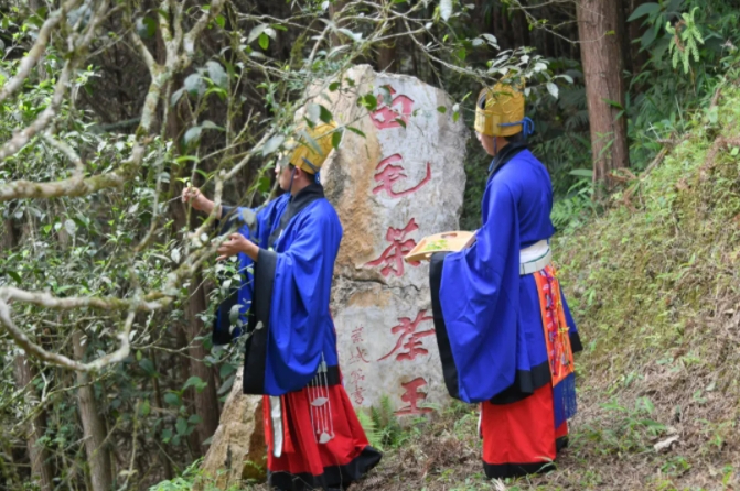 西疇縣融媒體中心供圖