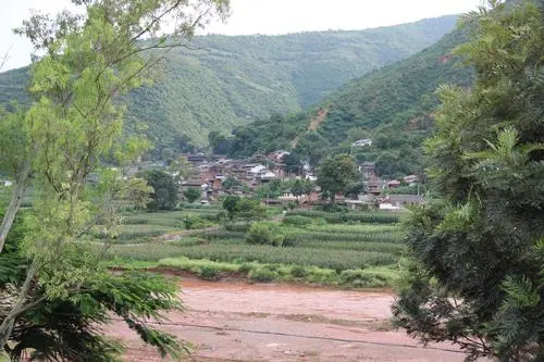 大庄镇风景