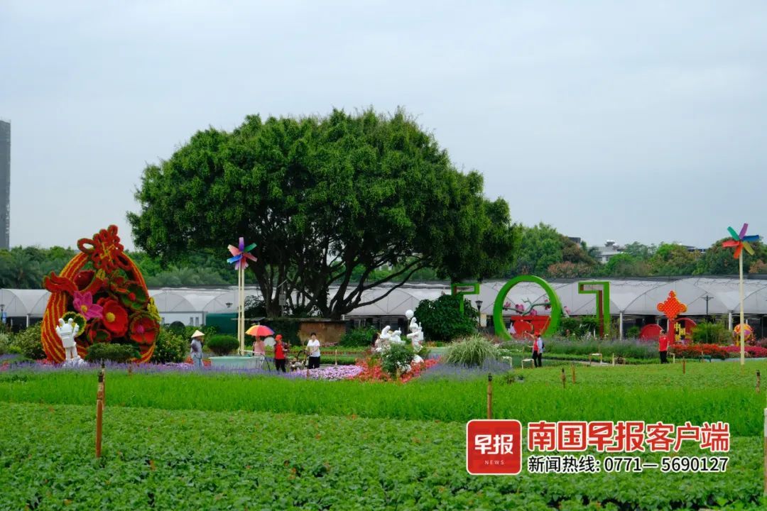 广西发布预警！暴雨+雷暴大风+冰雹将至，注意防范→